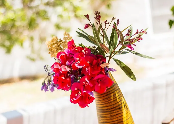 빌라 Casas Barulho - Jacaranda A8 *