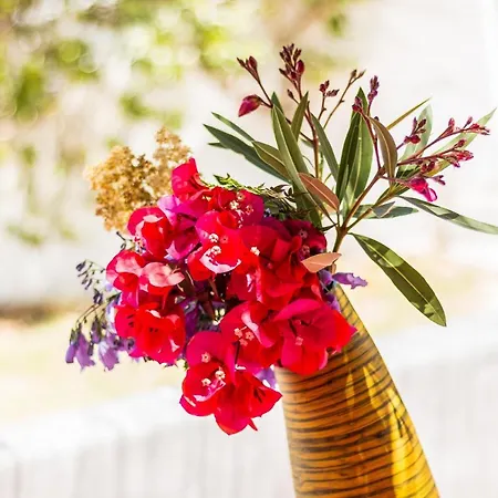 Βίλα Casas Barulho - Jacaranda A8 *